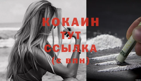 шишки Липки